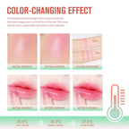 Tinted Blush Stick Moisturizing Cream Blusher for Cheeks and Lips
