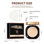 Pressed Powder Oil Control Face Setting Powder