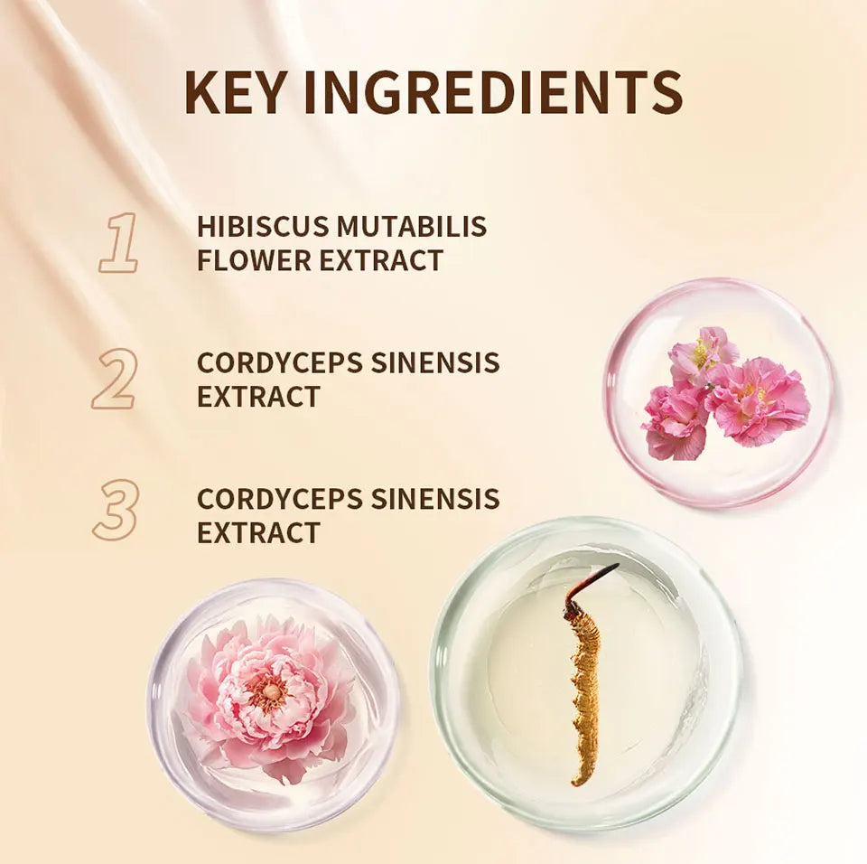 Glow Cream Cushion Foundation Dewy Luminous Face Makeup