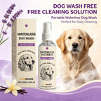 Waterless Dog Shampoo Spray No Rinse Pet Dry Bath Cleaner